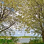 Schlei Marina Huelsen *