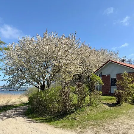 Dom wakacyjny Schlei Marina Huelsen